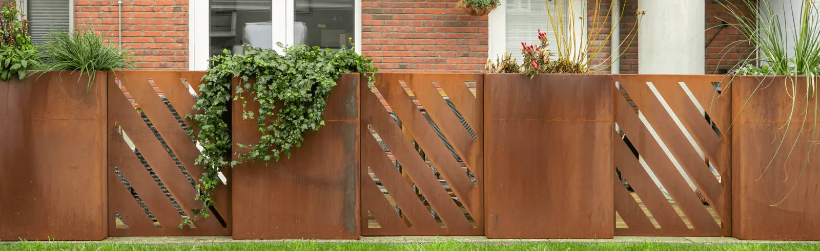 Hekwerk op maat van Staallokaal met klimop langs de gevel
