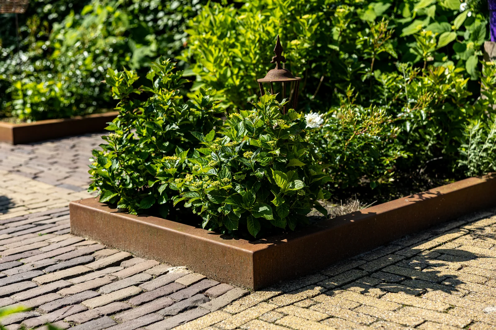 Tuinborders van cortenstaal om een vak met hortensia's