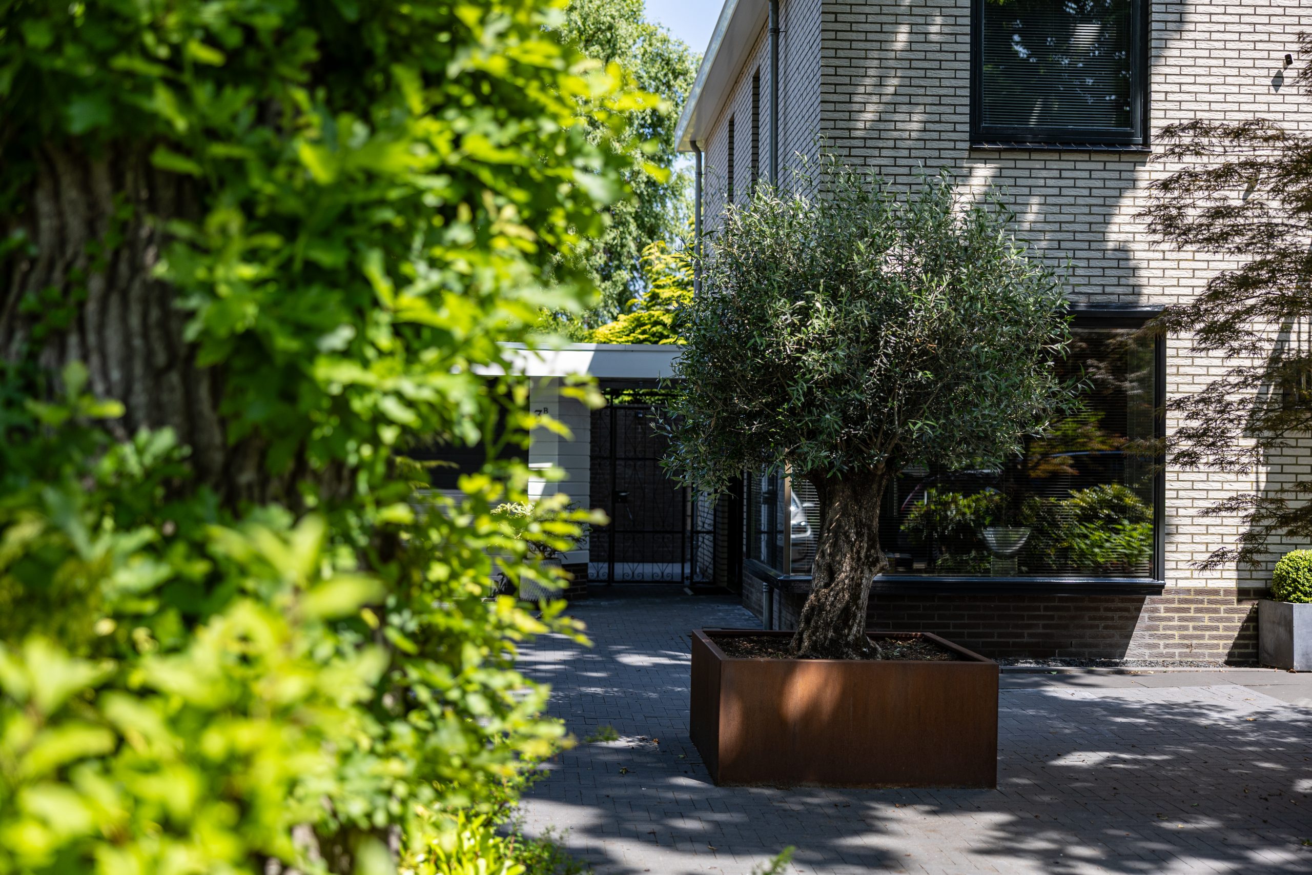 Cortenstalen plantenbak met olijfboom naast een villa